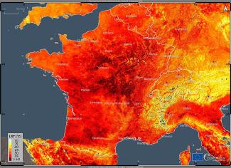 Canicule